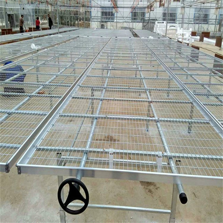 High-quality corrosion-resistant and wear-resistant mesh seedling bed roller bed for greenhouse vegetables