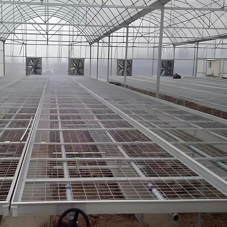 High-quality corrosion-resistant and wear-resistant mesh seedling bed roller bed for greenhouse vegetables