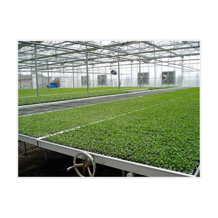 High-quality corrosion-resistant and wear-resistant mesh seedling bed roller bed for greenhouse vegetables