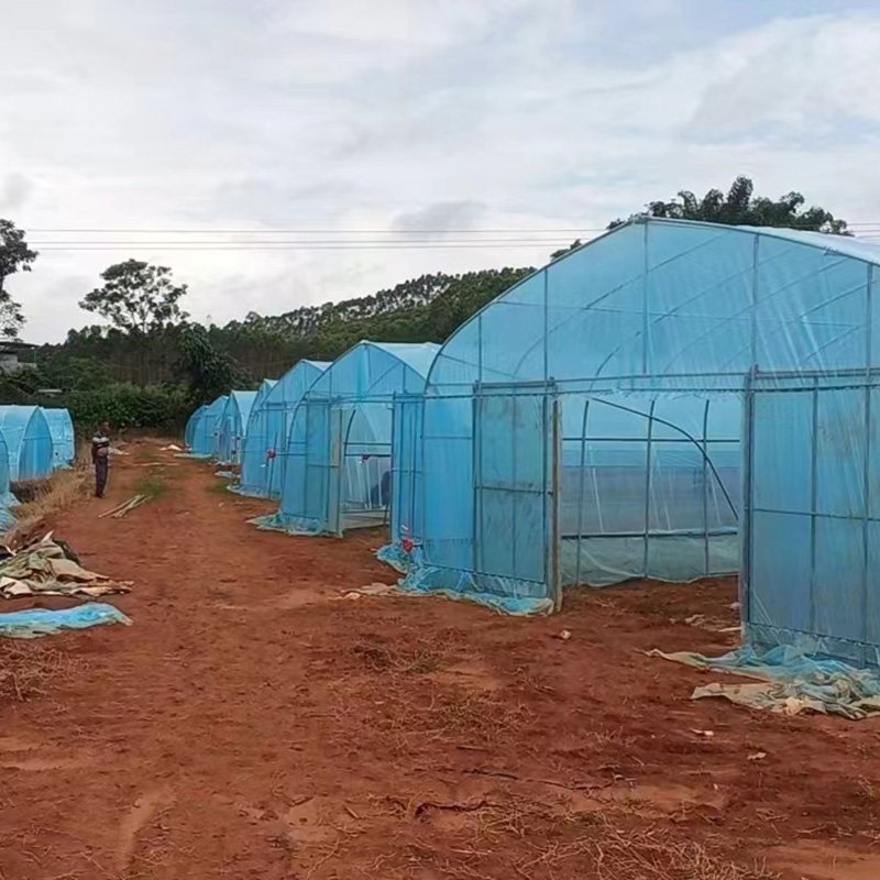 Agricultural greenhouses include hydroponic towers, mushroom growing equipment and flower seed greenhouse kits