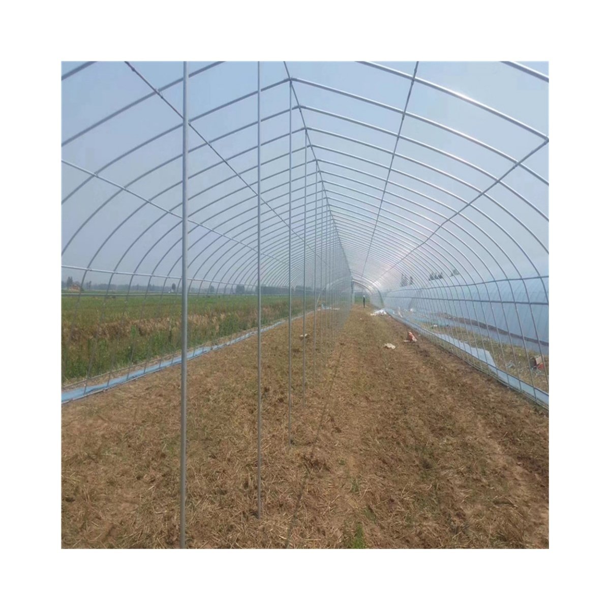 Good Quality Planting Agricultural Greenhouse Tunnel