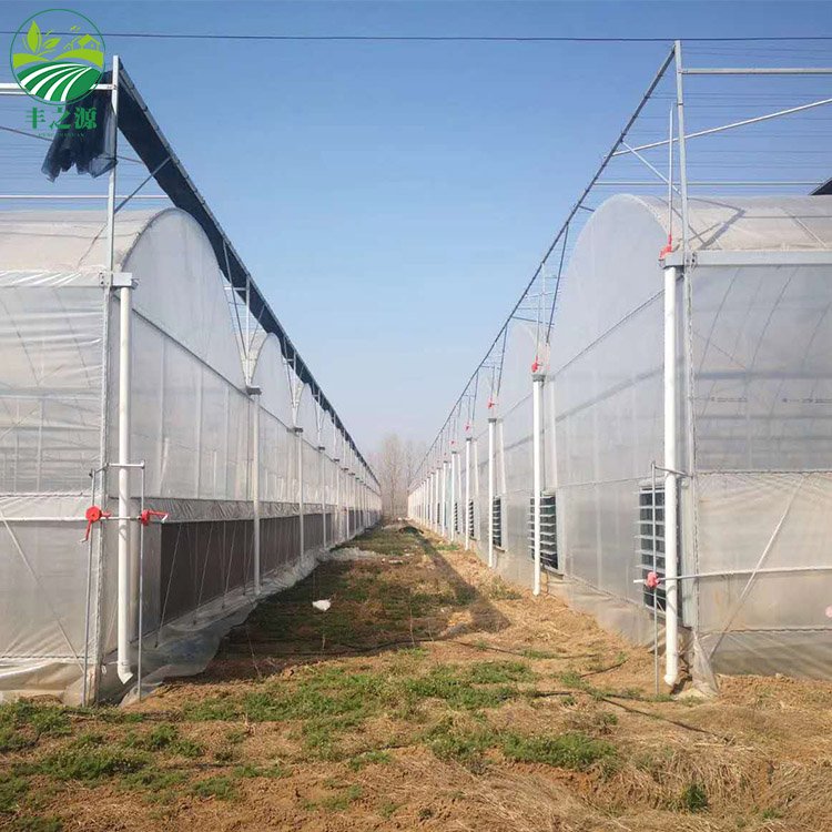 Agriculture Multi-span Plastic Planting Tomato And Strawberry Green house frame plastic film multi-span greenhouse for sale