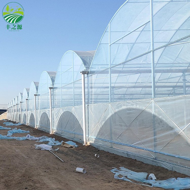 Agriculture Multi-span Plastic Planting Tomato And Strawberry Green house frame plastic film multi-span greenhouse for sale