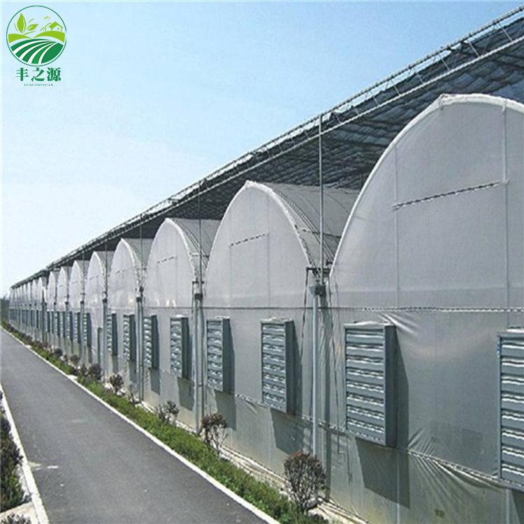 Agriculture Multi-span Plastic Planting Tomato And Strawberry Green house frame plastic film multi-span greenhouse for sale