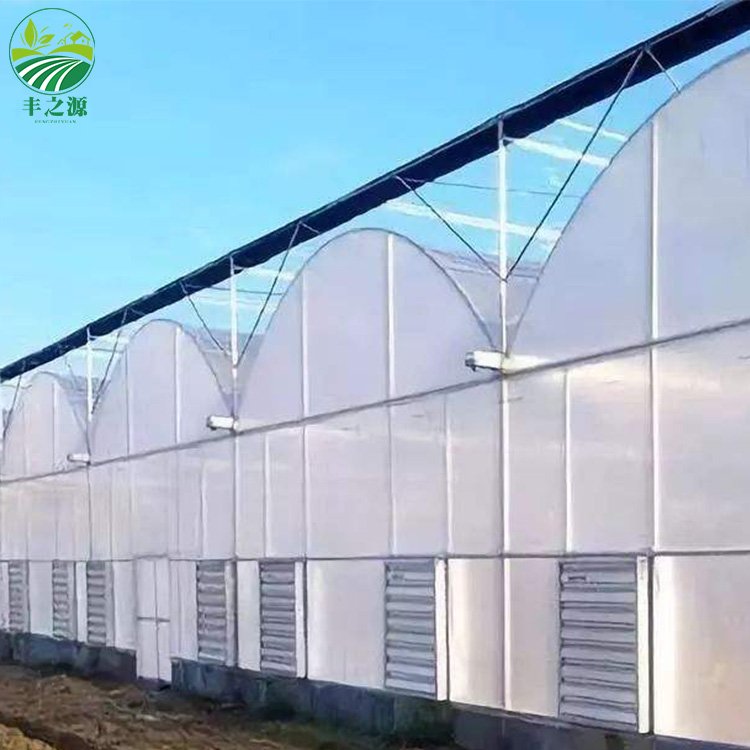 Agriculture Multi-span Plastic Planting Tomato And Strawberry Green house frame plastic film multi-span greenhouse for sale