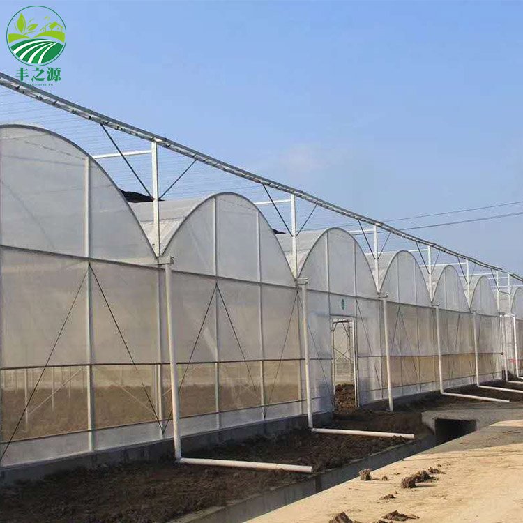 Agriculture Multi-span Plastic Planting Tomato And Strawberry Green house frame plastic film multi-span greenhouse for sale