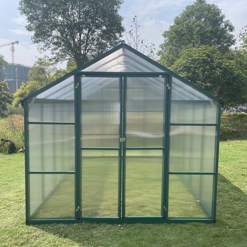 OEM ODM Manufacturer Single Span Home Prefabricate Structure Victorian Tropical Strawberry Tomato Greenhouse