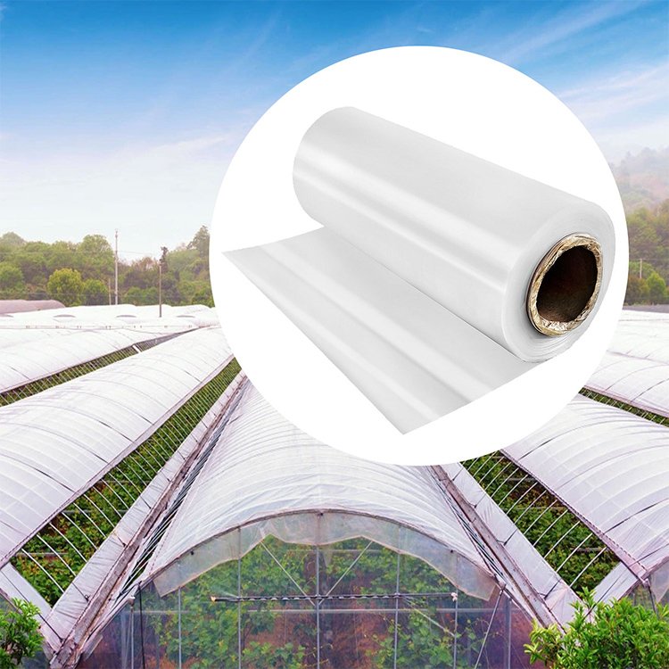 Best Seller UV Plastic for Industrial Agricultural Greenhouse Cheap Transparent Malaysia Manufacturer