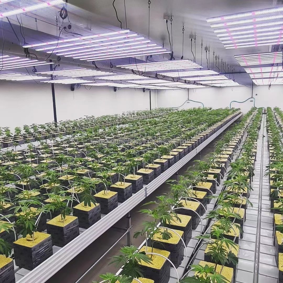 Automatic Agricultural Movable Ebb Flow Indoor Flood Table Wire Mesh Greenhouse Rolling Benches