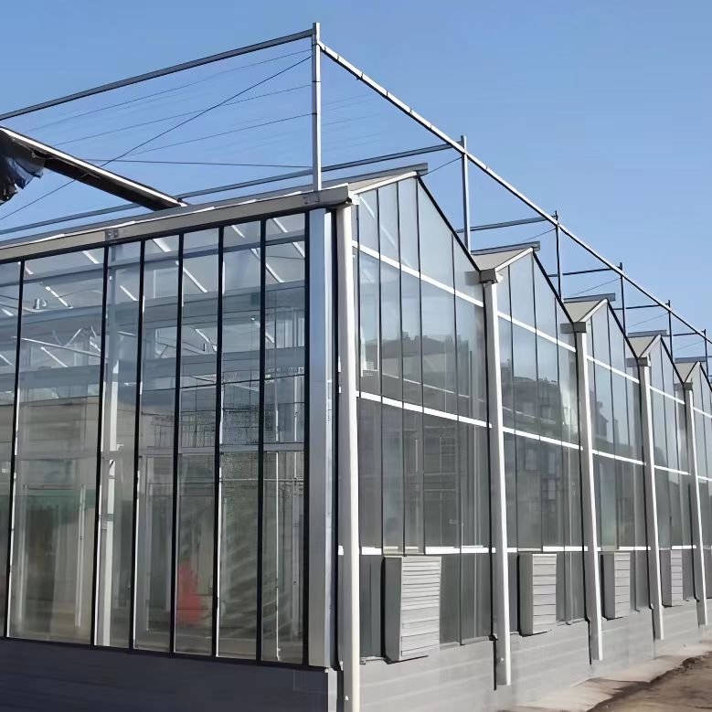 Square Pattern for Tomato & Strawberry Made Steel Film Agriculture Use High Quality Large Commercial Glass Multi-Span Greenhouse