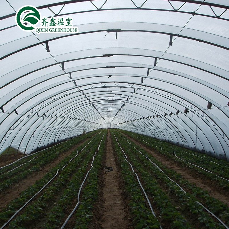 Commerical Multi Span Polycarbonate Sheet PC Board Greenhouses/Green House for Agricultureagricultural single tunnel greenhouse
