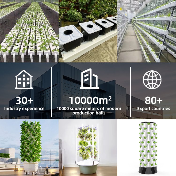 agricultural greenhouses aeroponics lettuce hydroponics system vertical vertical growing racks nft system hydroponic