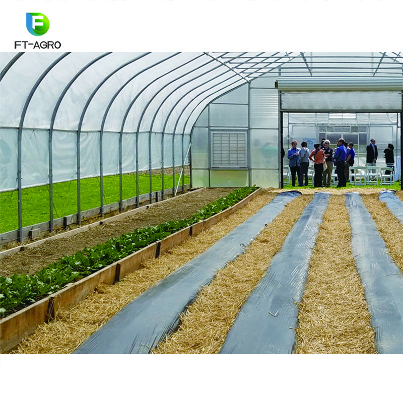 PO Film Plastic Greenhouse Single Tunnel Agricultural Greenhouse