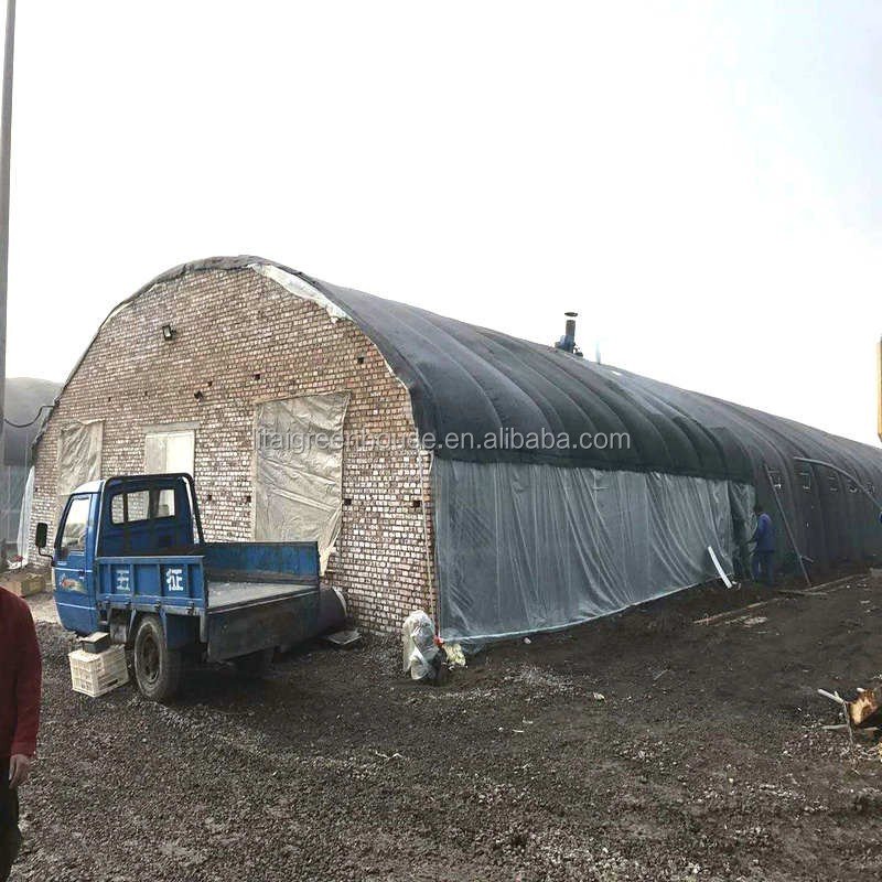 Fish farming Cultivation poultry farm design greenhouse