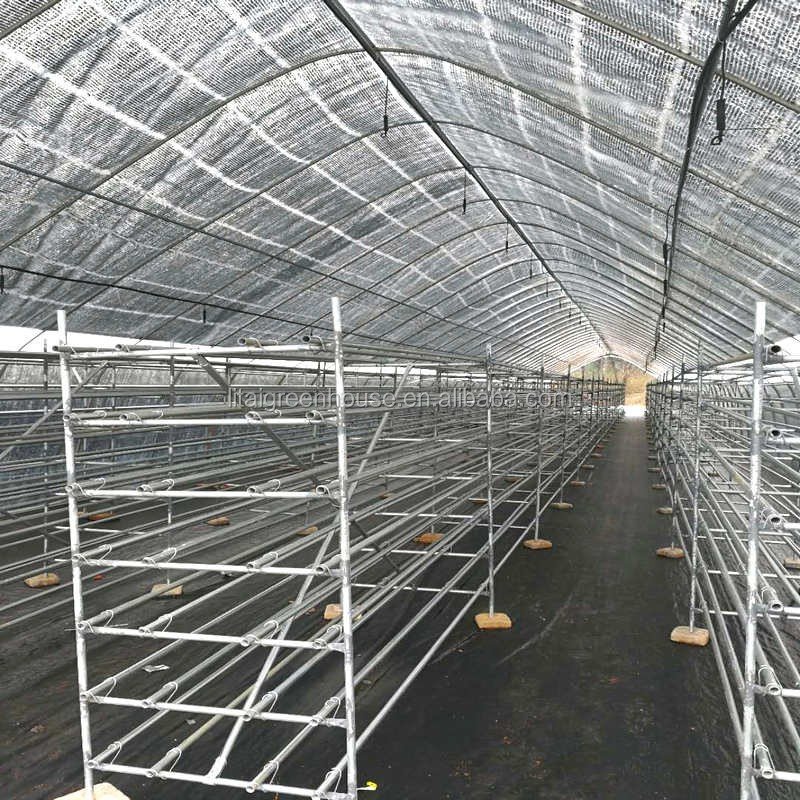 Fish farming Cultivation poultry farm design greenhouse