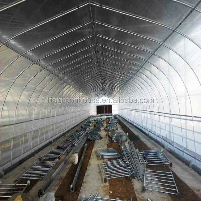 Fish farming Cultivation poultry farm design greenhouse