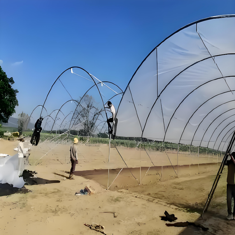 Hydroponic Greenhouse Square Agricultural Film Plants Small Size Made Steel PE Low Priced Large Scale Rain Shelter greenhouse