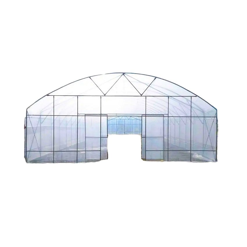Large Low-Cost 2024 PO Film Material Agricultural Commercial 40X100m Single Span Tunnel Greenhouse for Sale