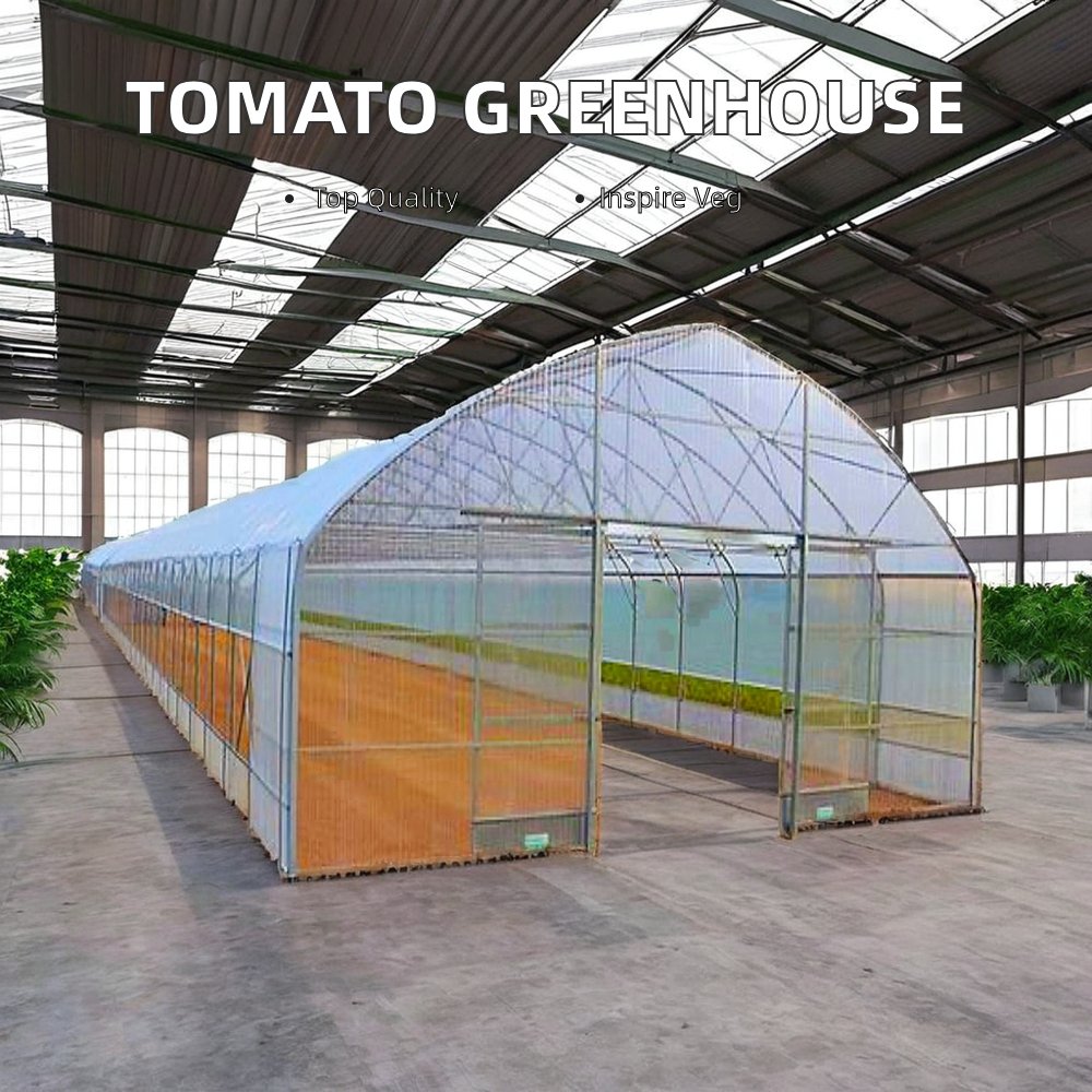 Large Low-Cost 2024 PO Film Material Agricultural Commercial 40X100m Single Span Tunnel Greenhouse for Sale