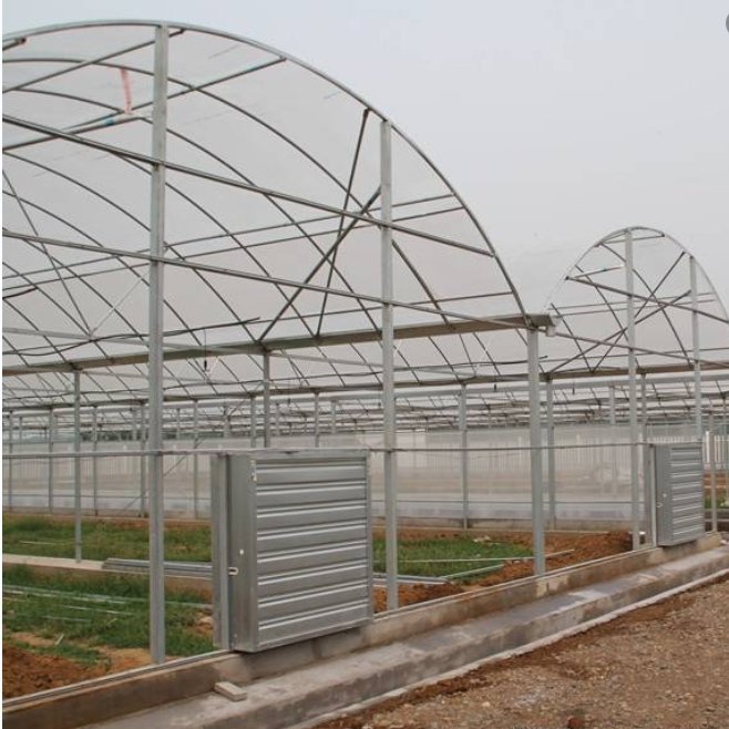Low cost Gothic Greenhouses agricultural Arch Green house multi span Poly Film Greenhouse for Sale