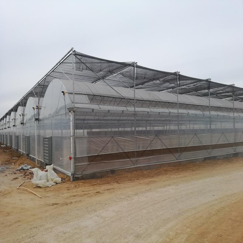Low cost Gothic Greenhouses agricultural Arch Green house multi span Poly Film Greenhouse for Sale