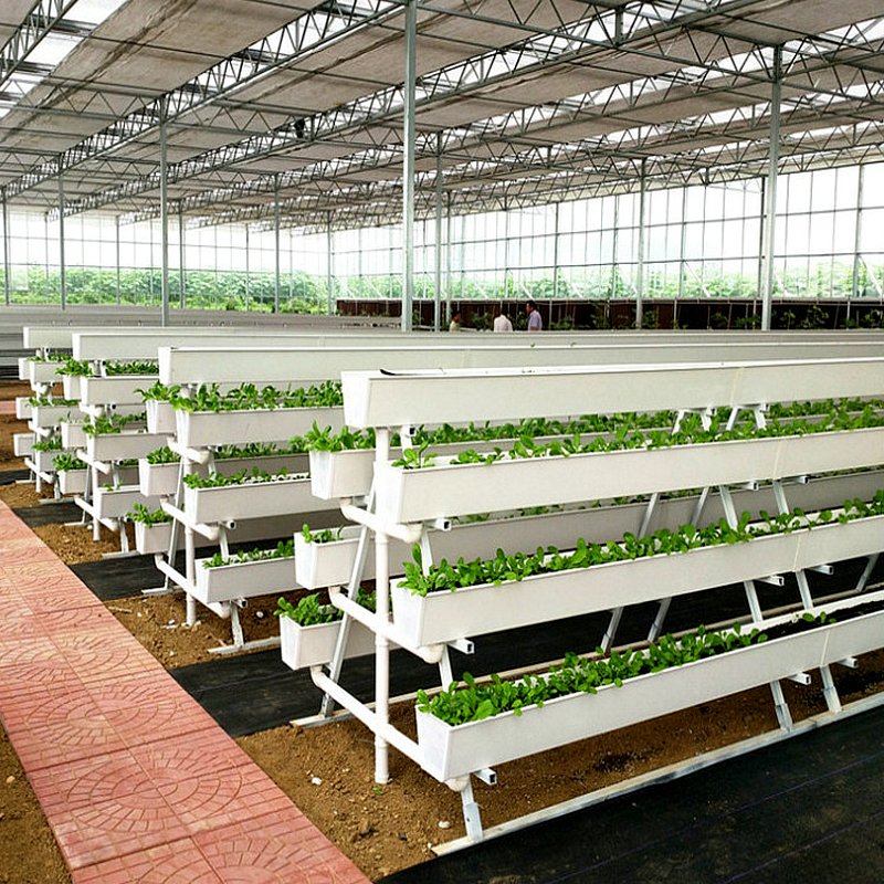 Low cost Gothic Greenhouses agricultural Arch Green house multi span Poly Film Greenhouse for Sale