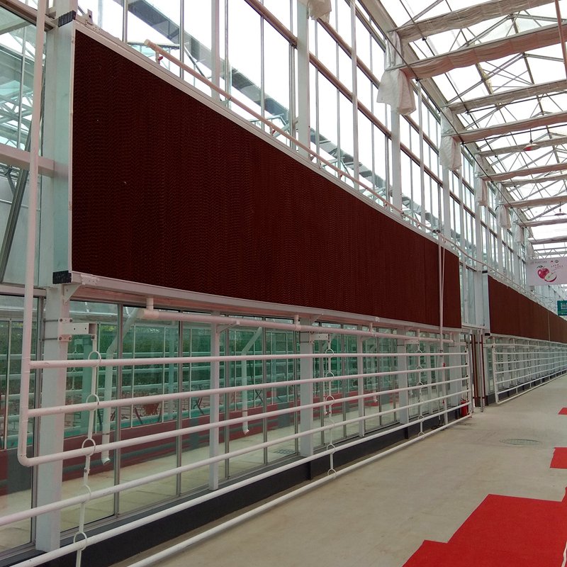 Water Paper Air Cooler Evaporative Cooling Pad for Greenhouse Cooling System