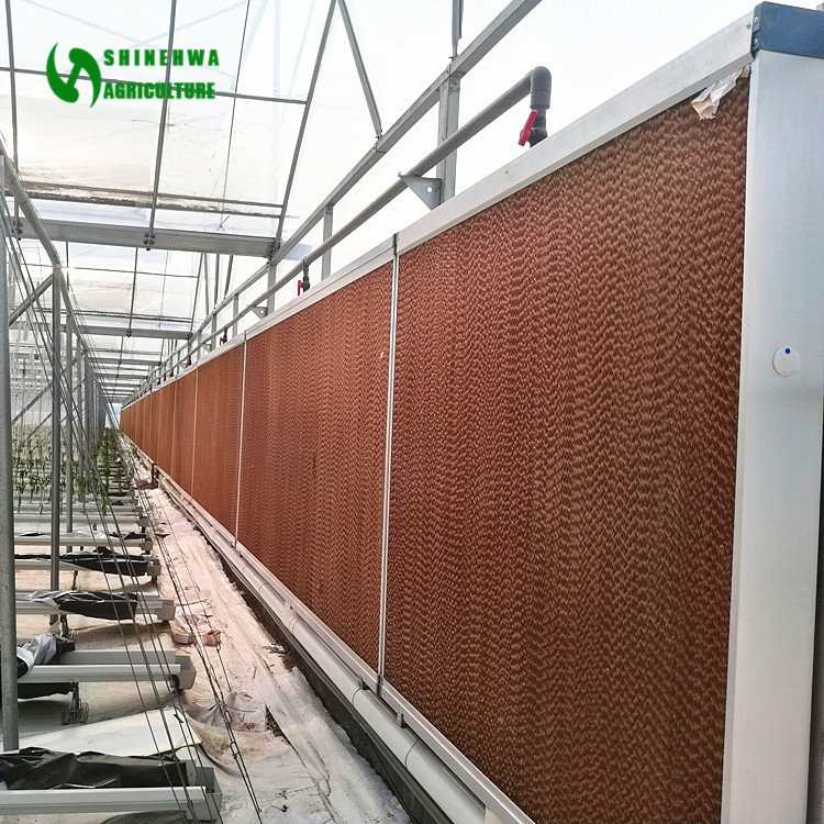Water Paper Air Cooler Evaporative Cooling Pad for Greenhouse Cooling System