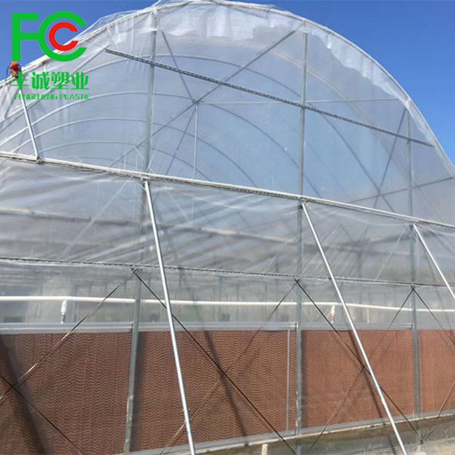 Wiggle Wire Durable Greenhouse Film Wiggle Wire For Lock Channel
