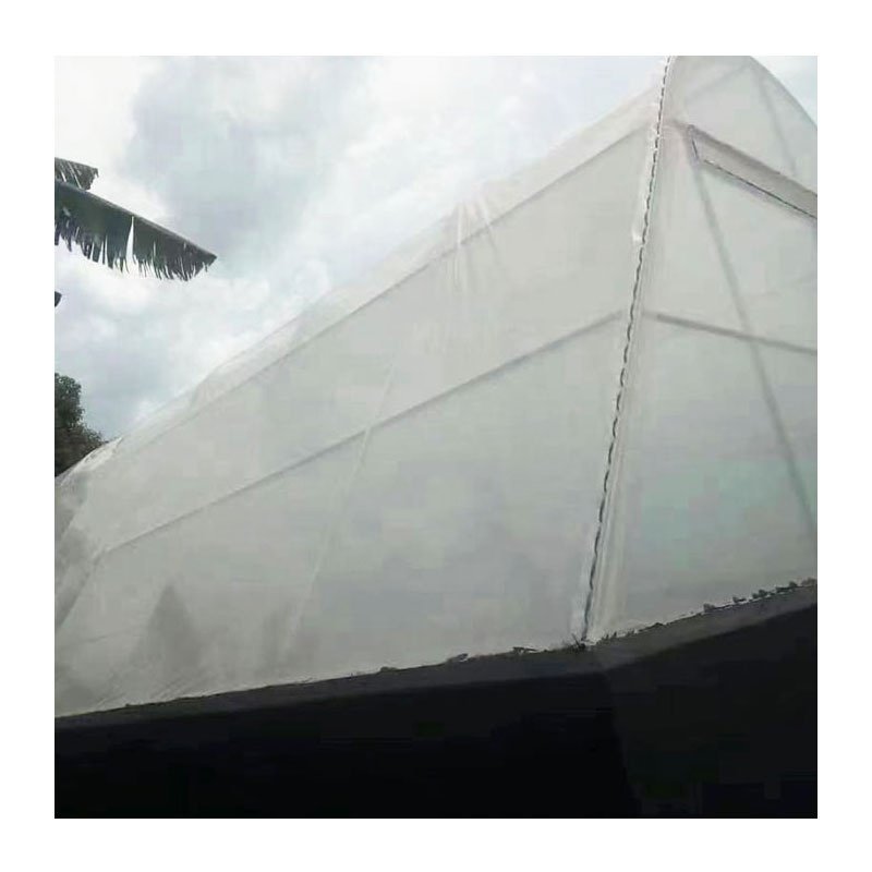 High Quality Cheap China Agricultural Greenhouses Strong 200mic Greenhouse Film Diffuse Film Fastening