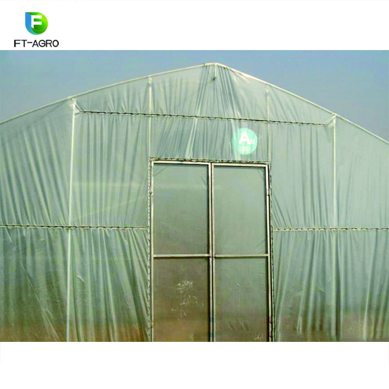 Single-span PO flim Greenhouse for Commercial with Indoor Hydroponic NFT Systems
