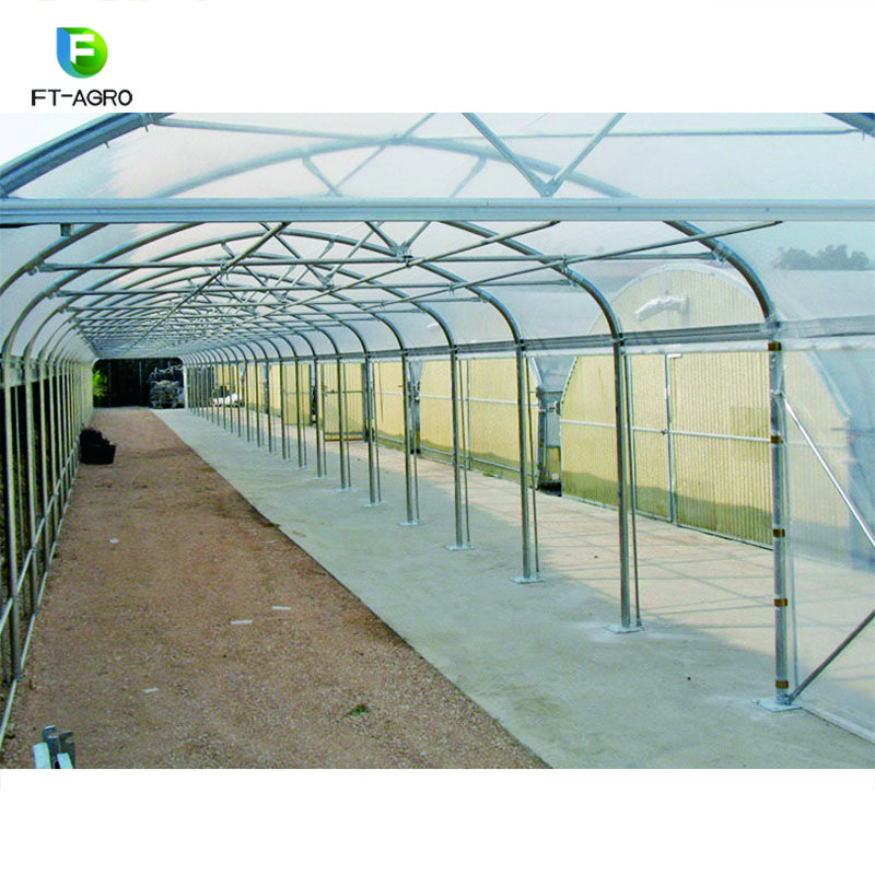 Single-span PO flim Greenhouse for Commercial with Indoor Hydroponic NFT Systems