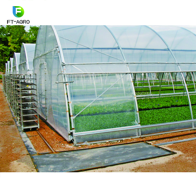 Single-span PO flim Greenhouse for Commercial with Indoor Hydroponic NFT Systems