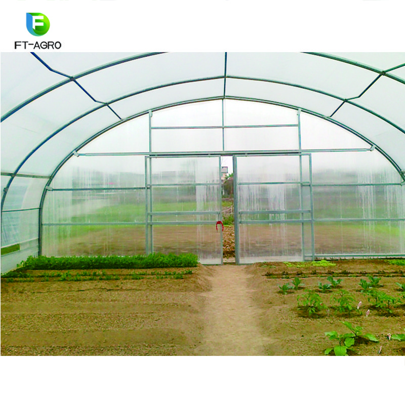 Single-span PO flim Greenhouse for Commercial with Indoor Hydroponic NFT Systems