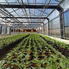 Large Hydroponic Greenhouse Assembly Kit Double Medical Plant Growth Lamp PVC Steel Equipment Agriculture Hemp Light Deprivation