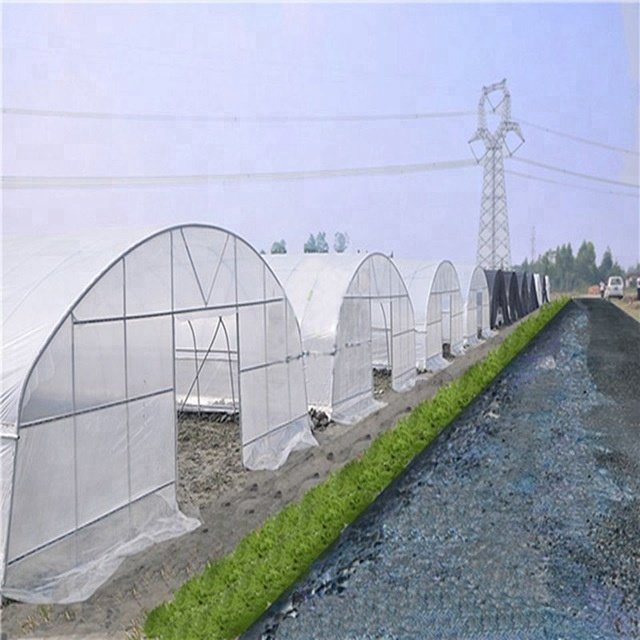Low cost single roof tunnel green house agricultural greenhouses