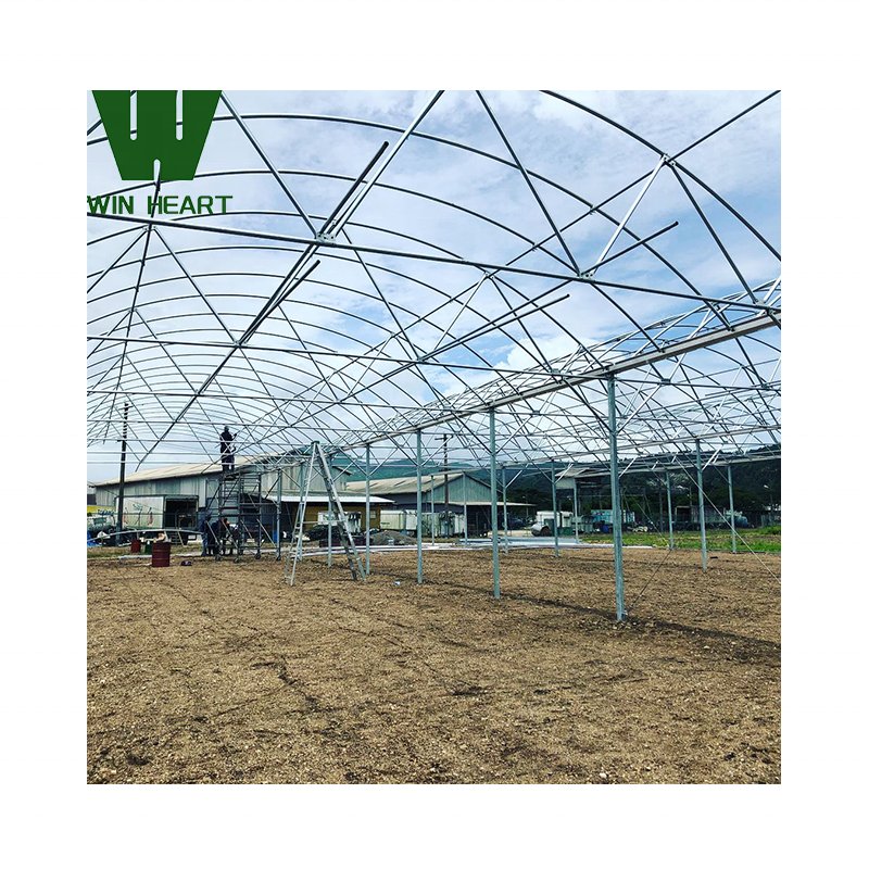 China supply Greenhouse Hot-Galvanized Frame Greenhouse Good-quality with ventilation system