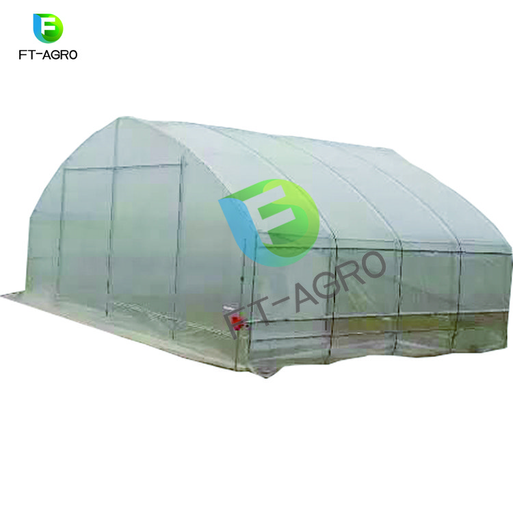Single span greenhouse agricultural greenhouses