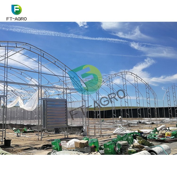 Single span greenhouse agricultural greenhouses