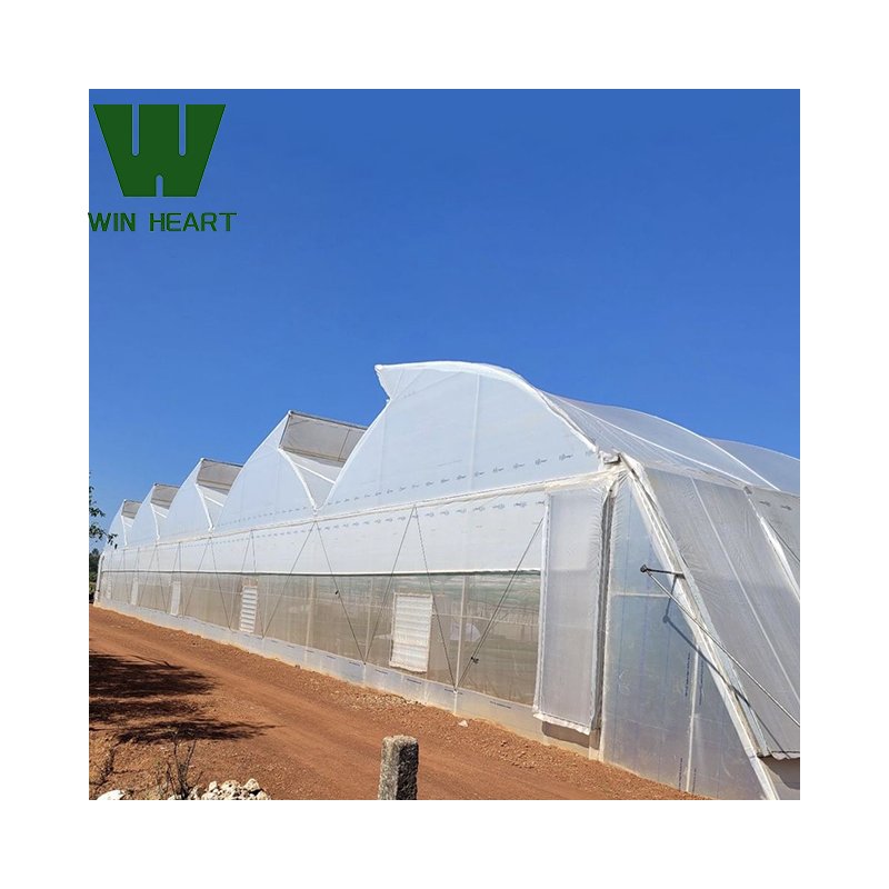 Cheap Wholesale Industrial Hydroponic Greenhouse for growing