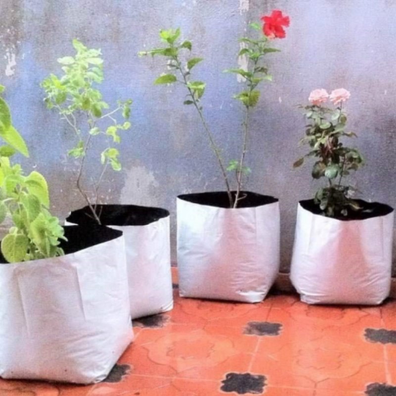 Greenhouse fruit vegetables blueberry nursery garden planter plastic black grow bags for plants
