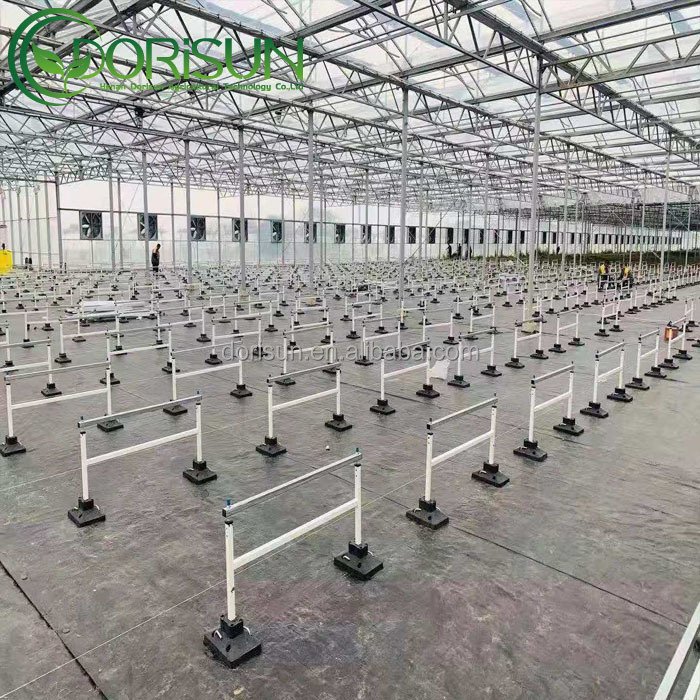 Greenhouse Grow Table 4x8 Flood Trays Ebb And Flow System Rolling Bench Grow Tables