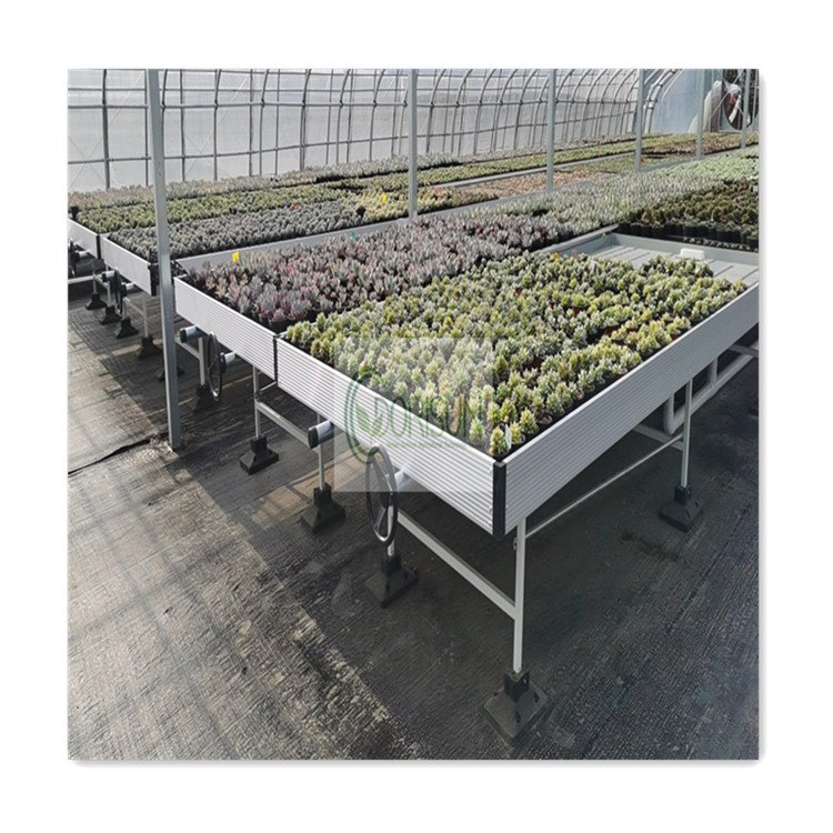 Greenhouse Grow Table 4x8 Flood Trays Ebb And Flow System Rolling Bench Grow Tables