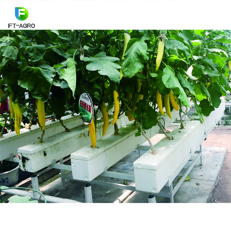 High Quality Advanced Agriculture Hydroponics system Greenhouses