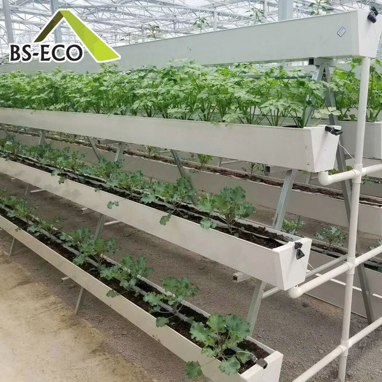 High Quality Advanced Agriculture Hydroponics system Greenhouses