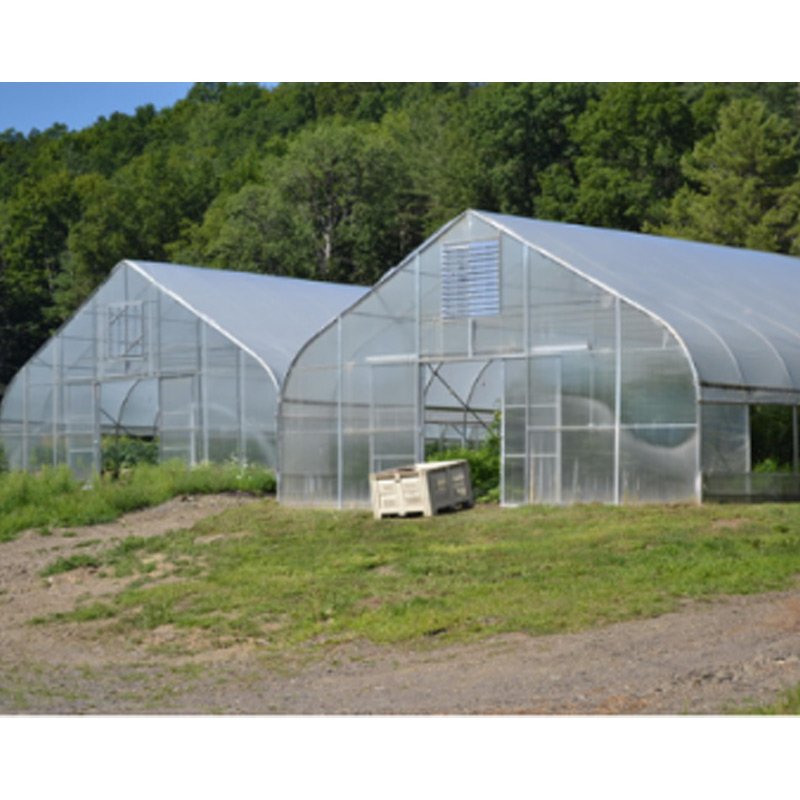 Cheap High tunnel Gothic Structure Greenhouses for vegetable and tomato growing film arch hoop house