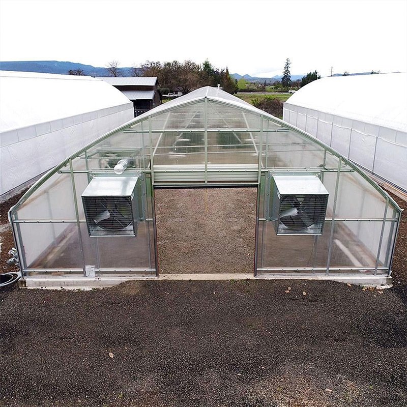 Cheap High tunnel Gothic Structure Greenhouses for vegetable and tomato growing film arch hoop house