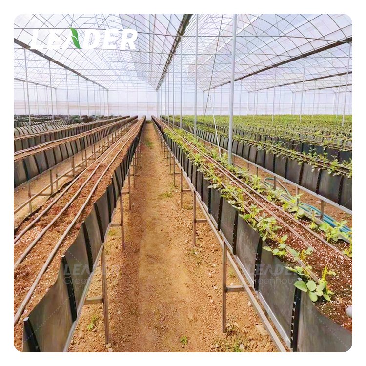 agricultural tunnel greenhouse hydroponic system black/white PP growing gutter soilless cultivation strawberry with drain spacer