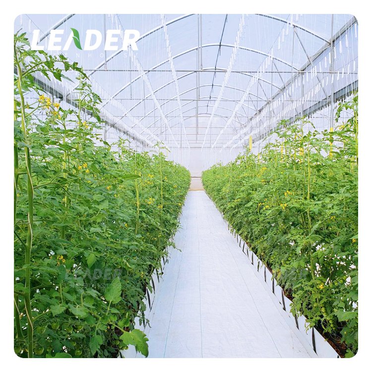 agricultural tunnel greenhouse hydroponic system black/white PP growing gutter soilless cultivation strawberry with drain spacer