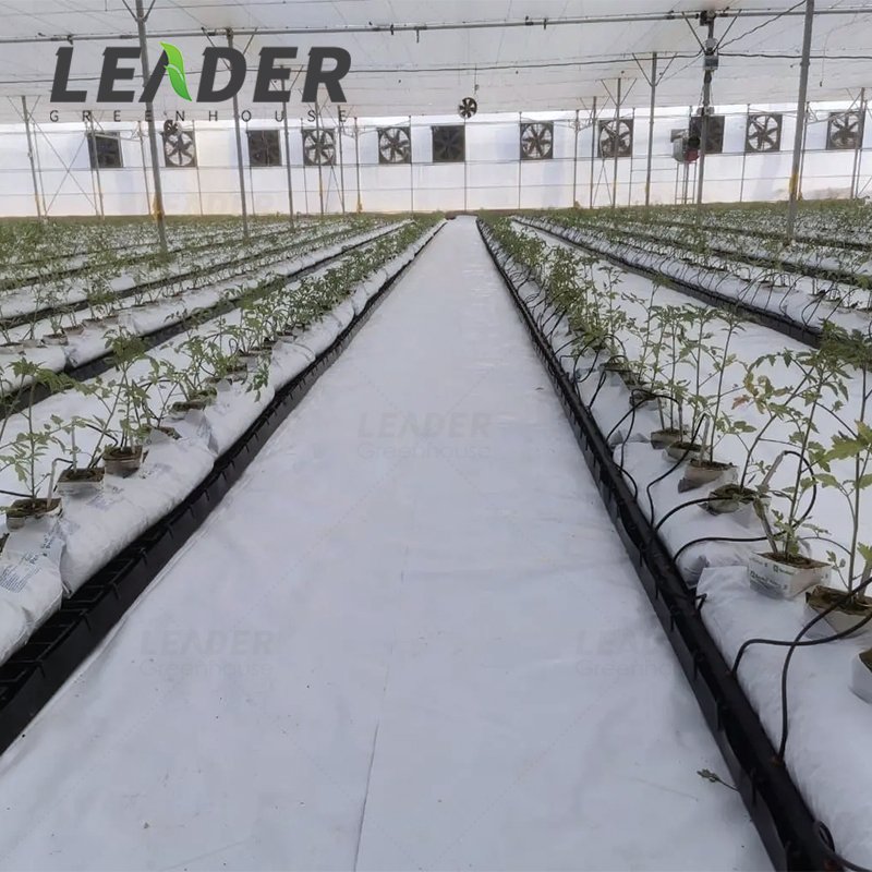 agricultural tunnel greenhouse hydroponic system black/white PP growing gutter soilless cultivation strawberry with drain spacer